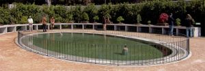 Foto: Página oficial Real Jardín Botánico