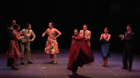Tributo y flamenco para Chavela Vargas en el Teatro Reina Victoria