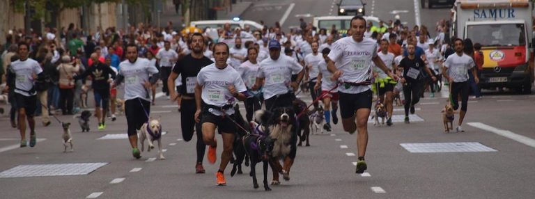 ‘Perrotón Madrid’ cumple siete años abogando por una adopción responsable