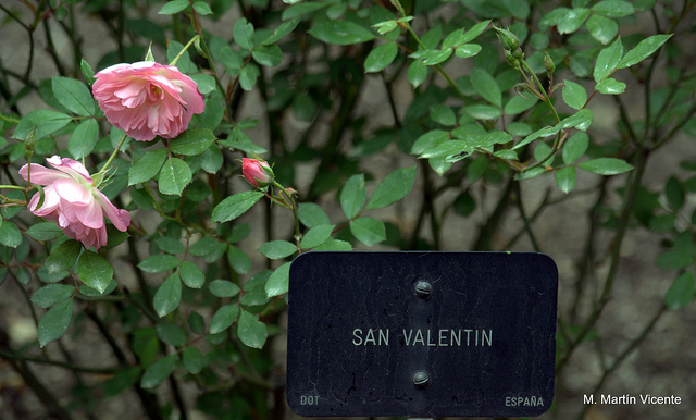 Qué hacer el fin de semana de San Valentín en Madrid