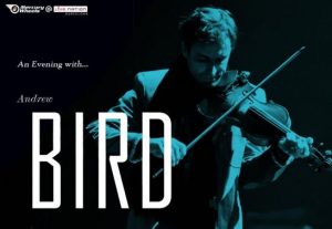 Andrew Bird'