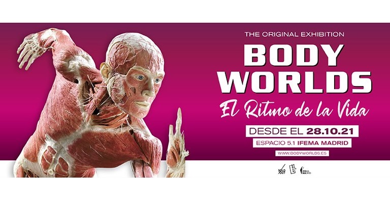 Body Worlds. El Ritmo de la Vida