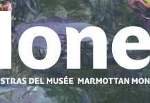 MONET, Obras maestras del Musée Marmottan Monet