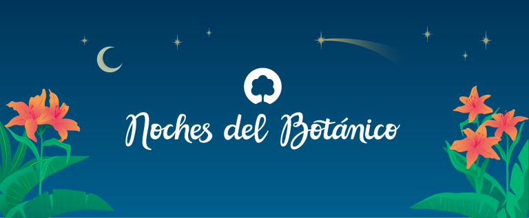 Noches del Botánico 2026 en Madrid: cartel, fechas y conciertos imprescindibles
